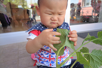 食育活動