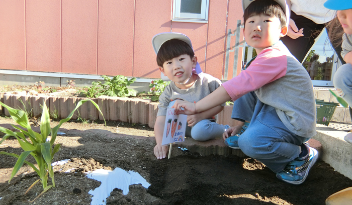 食育活動