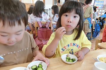 食育活動